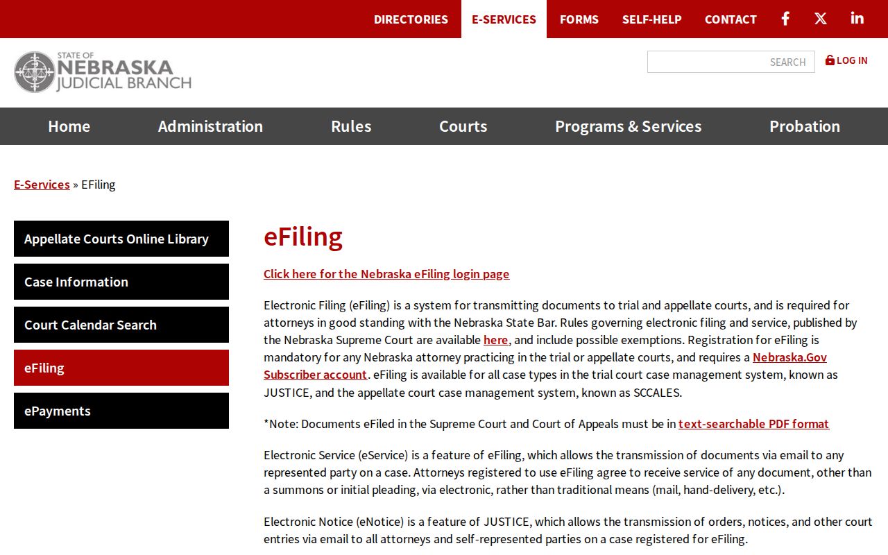 Loup County case lookup Nebraska court eFiling service information
