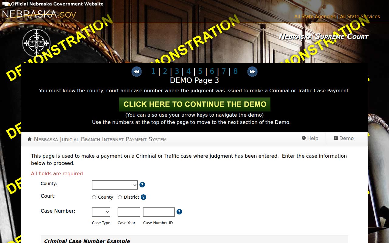 Loup County criminal docket search criminal traffic demonstration fields